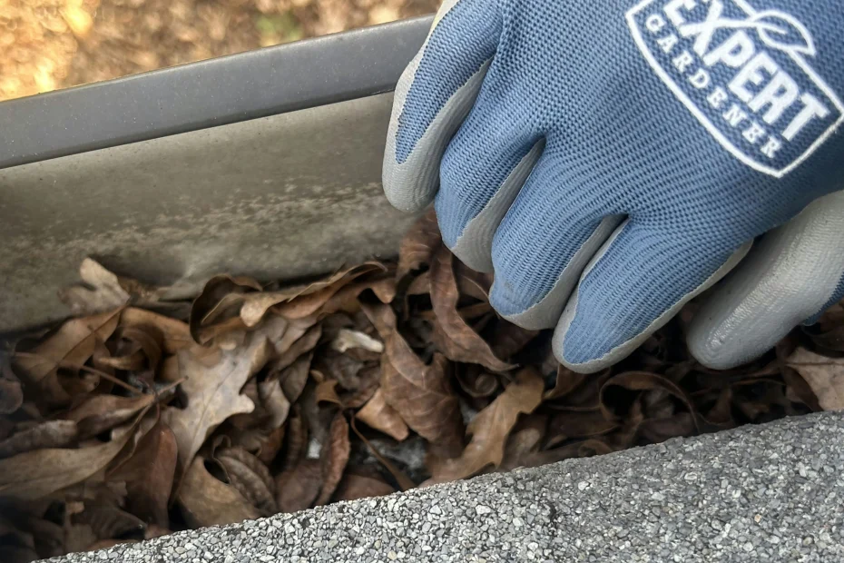 Gutter Cleaning Yorktown